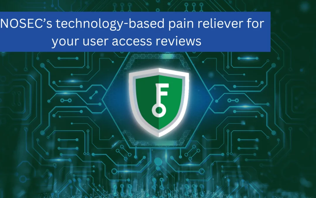 Finosec’s technology-based pain reliever for your user access reviews